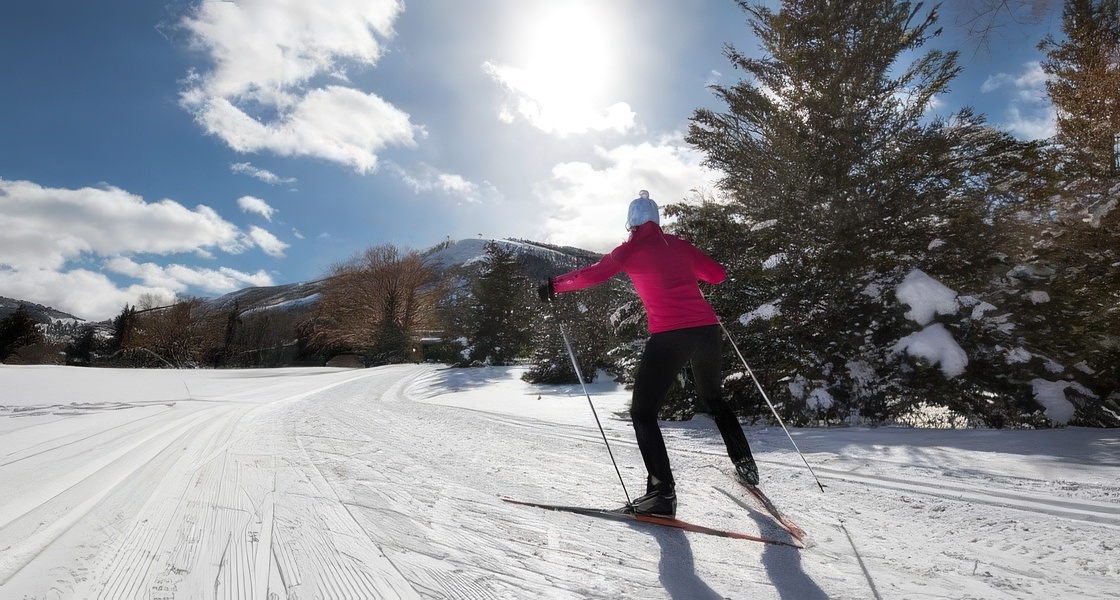 Cross-Country Skiing Vé