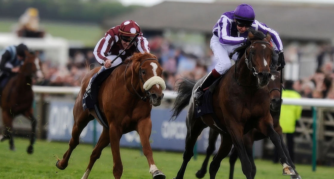 Entradas Horse Racing