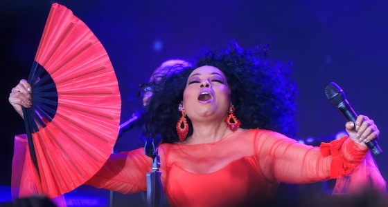 Diana Ross en concert sur la scène de la Resorts World Arena à Birmingham