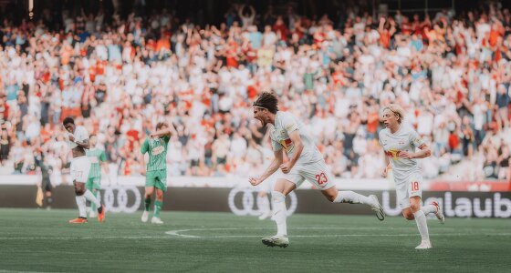 FC Salzburg vs AC Milan Bileta