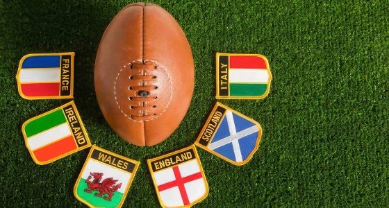 Lions ir All Blacks regbio rungtynės Emirates Airline Park stadione Johanesburge