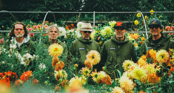 วง Super Furry Animals แสดงสดที่ Barrowland ในเมืองกลาสโกว์