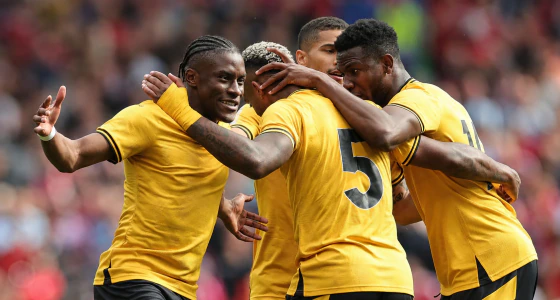 Wolverhampton Wanderers FC vs Swansea City AFC bilietai