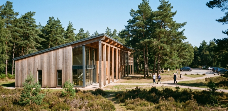 Cannock Chase Forest