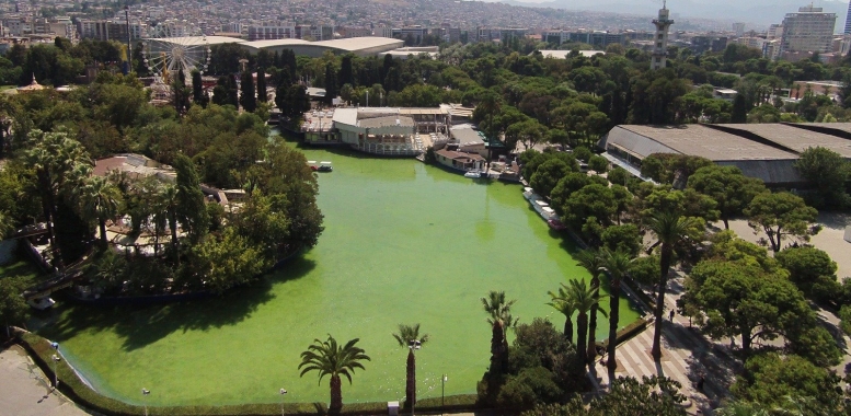 İzmir Kültürpark Zeytin Sahne (Göl Gazinosu Yanı)