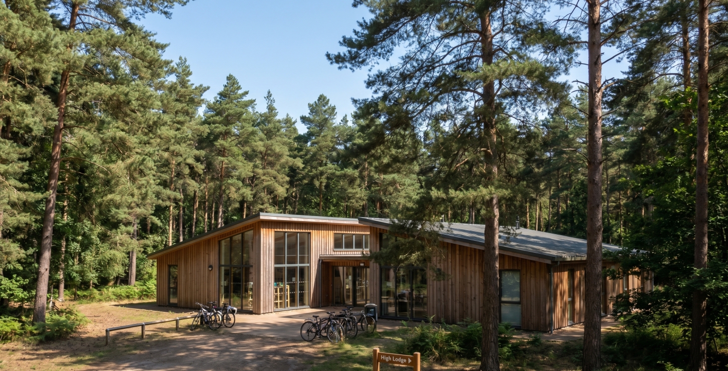 Thetford Forest